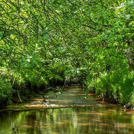 Casa de Férias In With 6 Bedrooms